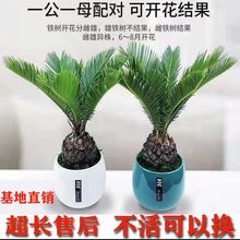 �F���辰��͏d�����ļ�����GֲͥԺ�Ϙ��҃��ͺ�