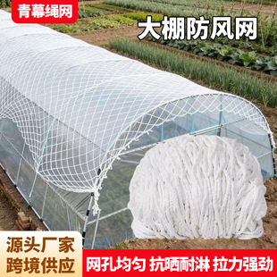 ������L�W �r������@���L���o�W ���Ҵ�����L�։m�W���L�o�W