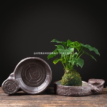 �辰����G�մɽ�ˮ�P̦�\���бP��̖С̖�������Ե�������|�ױP