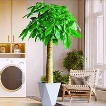 lؔԴ͏dGֲ҃ȴֲk͏dȩ՚w