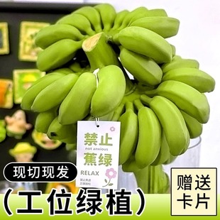 ��ֹ���G������ֹ���G�k����ˮ���㽶�ܽ^���]�V��С�׽�