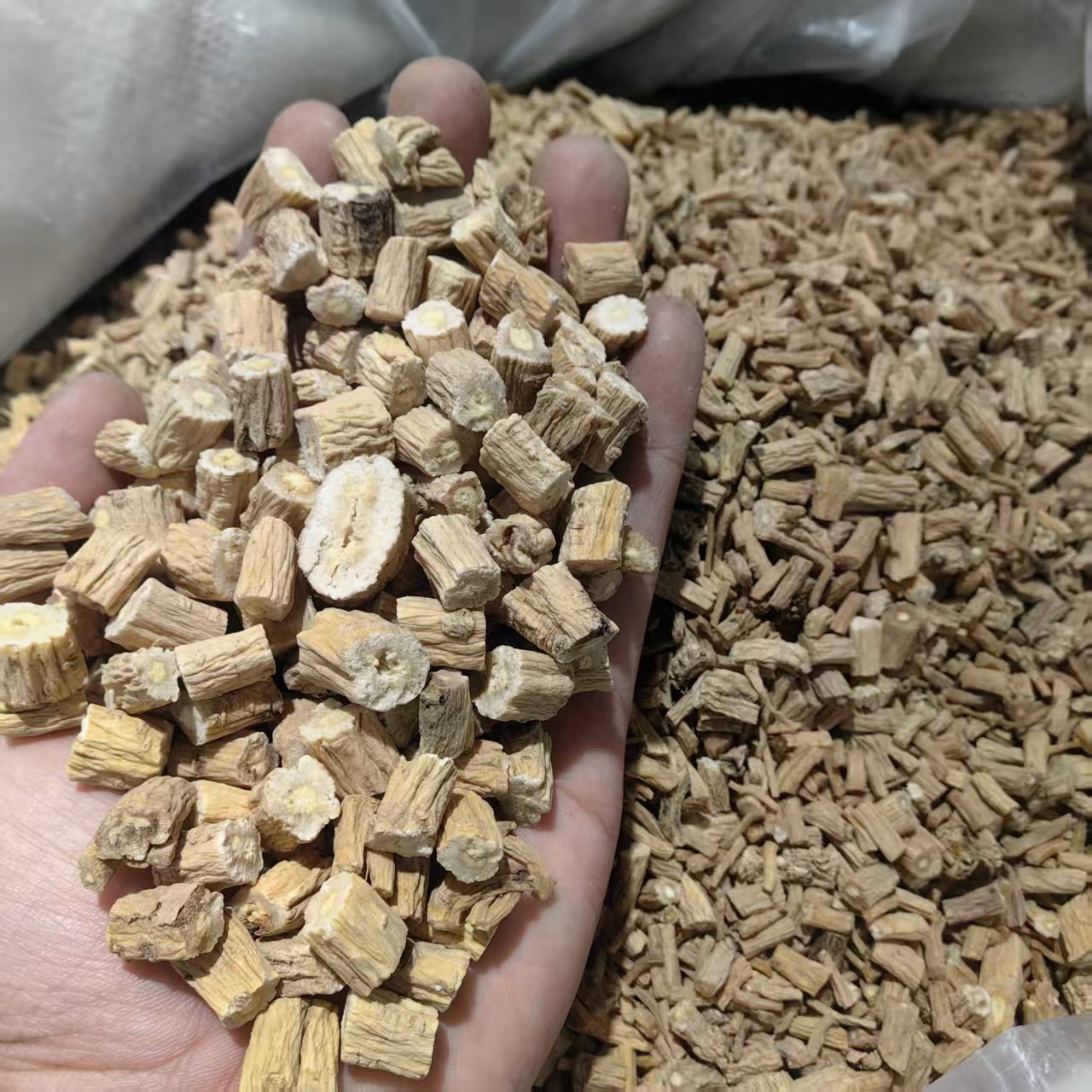 Dried Codonopsis Root Dang Shen 500g Gansu Origin Unsulfured Medicinal Grade Herb quality and texture