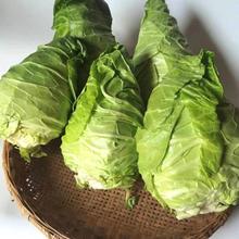 ţ�Ĳ˾G���{��������r�߲��Ϸ�����˾��Ĳ˼��ײ�ɏ�����ݲ�