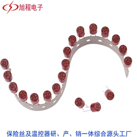 一次性保险丝;保护器件;温度保险丝