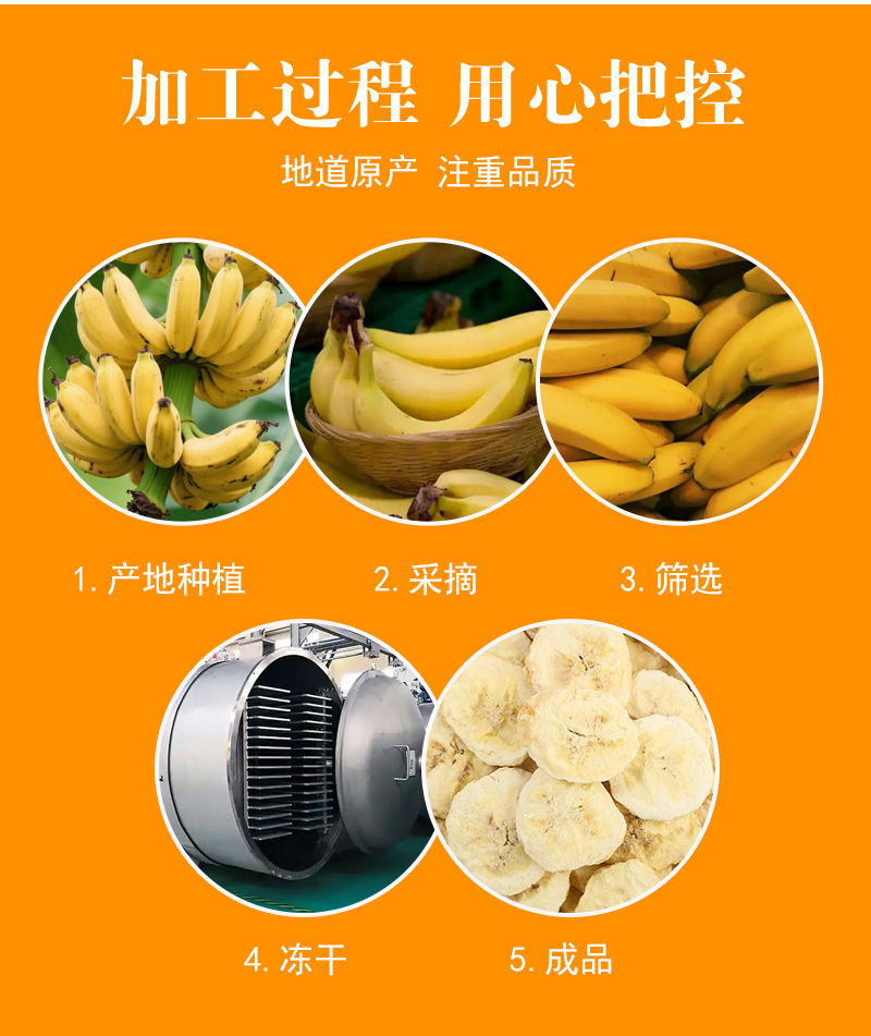 Freeze-Dried Banana Slices (Musa × paradisiaca) — FD Dried Fruit Snack, 500g Bulk preparation