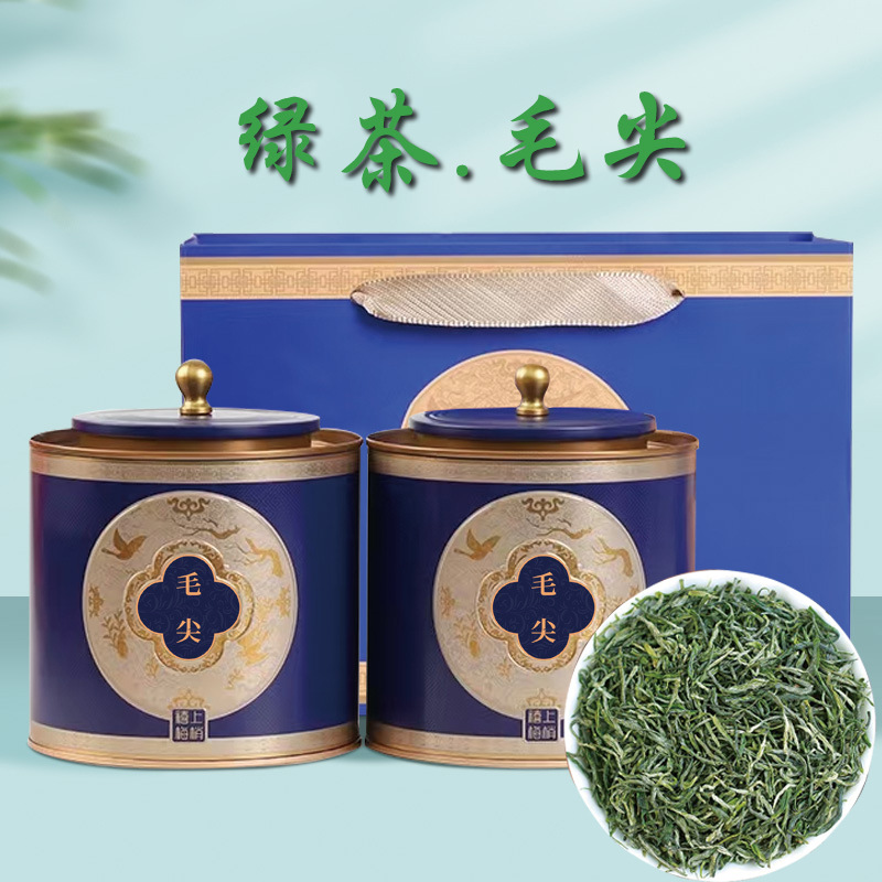 2025新茶信毛尖茶叶散批绿茶叶自己喝铁罐装阳源头厂家直销批发茶