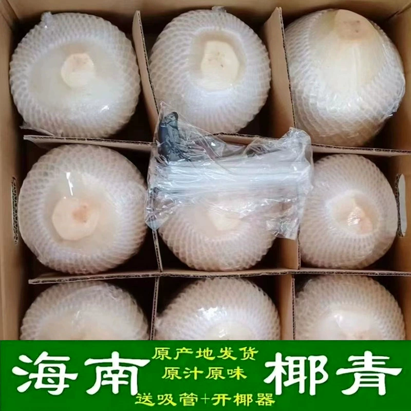 Хайнань Свежий Кокосовый кокосовый зеленый оптом может быть поколением 9 открытый кокосовый шарик 4 кокосового происхождения фрукты