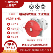 �ؼ�����NENMMAN��װб��TYP:212 ��ҵ��ˮ����125A 4оIP67 רƱ