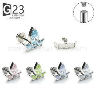 F136⁺Ͻ���С����ʯ���G23⁺Ͻ����w�����Ʒ����ᔴ��