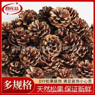 ������ ���� ������ �ɼ���ɻ����~���}�Q���b��ɹ��ɻ�DIY�b�