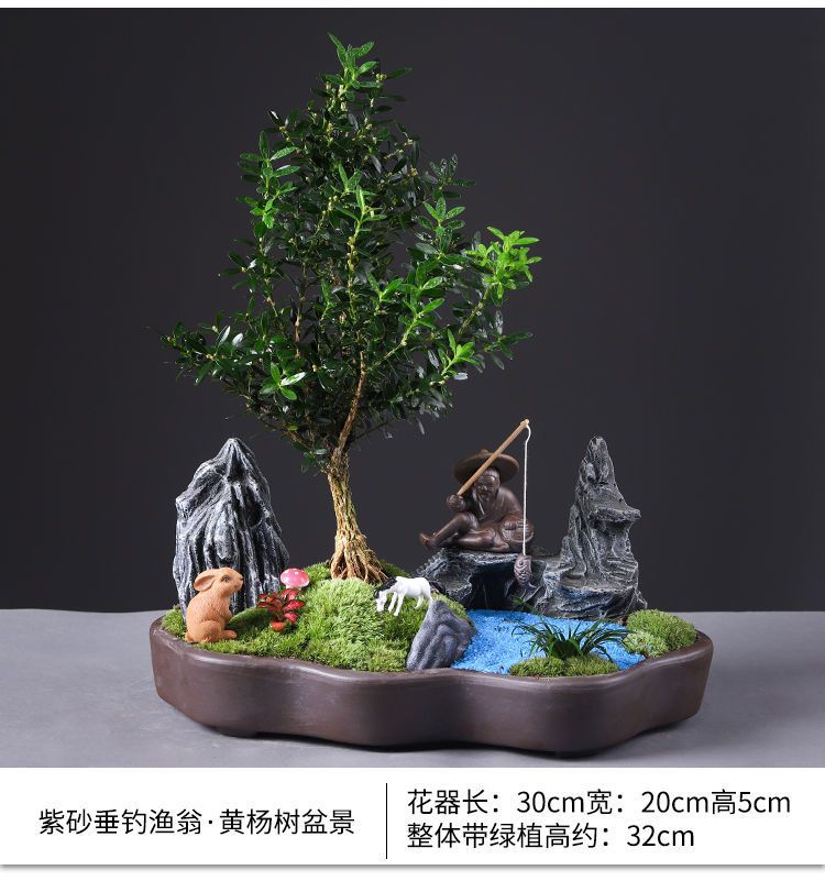 详情图