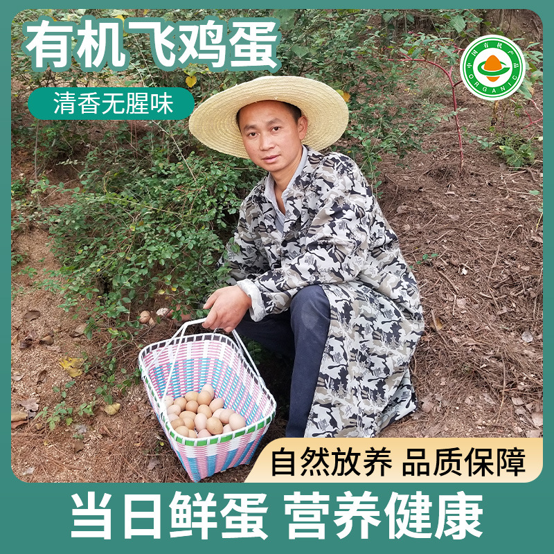 有机认证厂家蛋养殖场礼品盒装 土鸡蛋农家散养 土鸡蛋批发