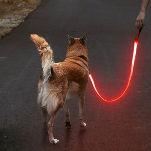 led�l��؈������������KTypeC��늸������߁G������؈������@