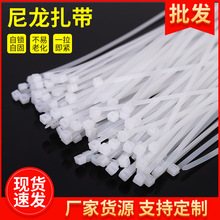 ���l���������������������a��ɫ���iʽ����������������������