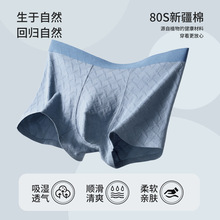 秋冬季男士纯棉内裤80s新疆棉无痕舒适透气抗菌中腰内裤 批发代发