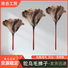 メーカーはダチョウの毛の長い柄を卸売りして、ほこりを除去して静電気を吸着します。