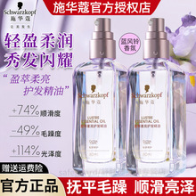 ʩ�Aޢ�o�l����ӯ������������ƿ�Ϲ�ƿ����ë��ɿ��ܓp�l�|