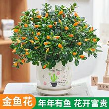 �ļ�������~�����m�����҃ȾGֲ���ܶ���ֲ��G�}�lؔ����B