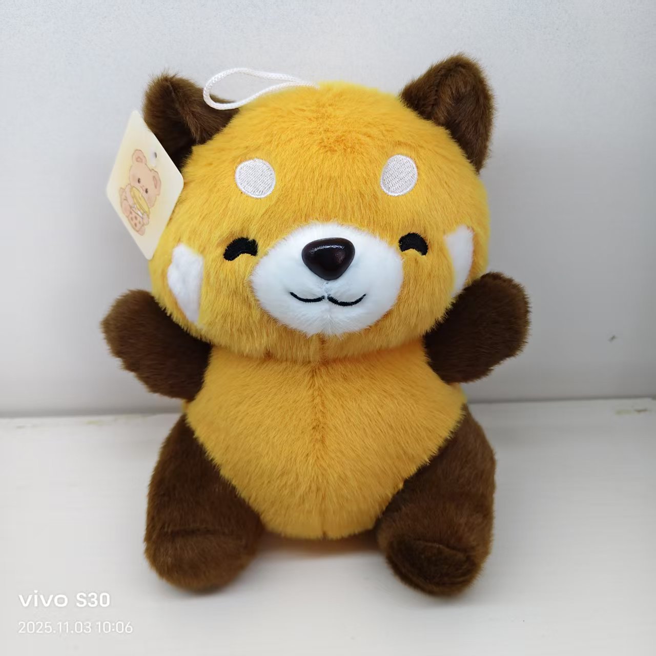 Cute raccoon