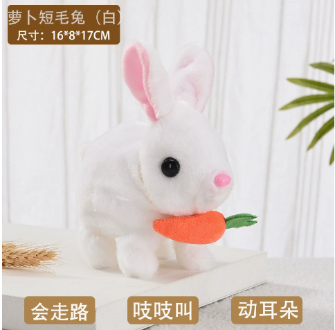 Conejo de rabanes - conejo de pelo largo - blanco