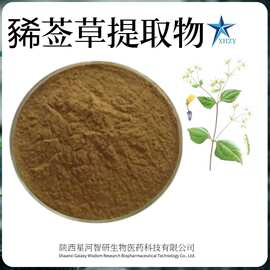 豨莶草提取物 30:1豨莶草粉 厂家供应 豨莶草萃取现货包邮