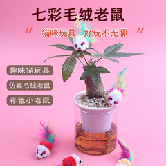 Plush Mouse Cat Toy, Colorful Feather Cat Toy, Realistic Small Mouse Cat Toy, Pet Toy