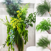 ����Gֲ��횲��J���ݻ�c�����廨�쾰�����׾Gɭϵ��ˇ��c�b�