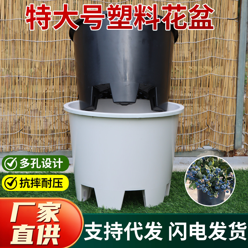 Blueberry Pots, Extra Large Flower Pots, Blow Molding, Injection Molding, Gallon Pots, Nursery Special Thickeneded Large Seedling Pots, Large Flower Pots Wholesale