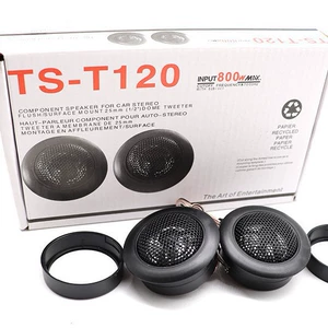 Wholesale Ts-120 Car Audio Modification Speaker Car Tweeter Tweeter Car Tweeter
