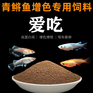 Feeding for Killifish: High-Protein Small Pellets for Small Fish, Non-Clouding, Floating, Enhancing Color for Fry