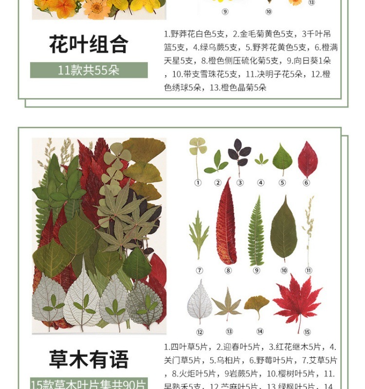 819eb592-aa7c-4716-a30b-548ccbcafcd5.jpe