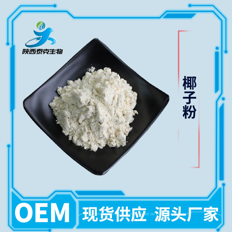 椰子果粉99% 固体饮料原料  椰果提取物 现货供应 量大优惠
