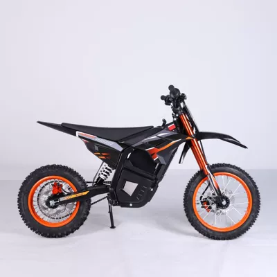 Mountain Electric Off-Road Vehicle, Elektrikli motosikletlər