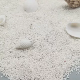 菲律宾砂 小珊瑚寄居蟹爬宠  鱼缸造景，规格齐全 厂家批发