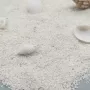 菲律宾齐全寄居蟹珊瑚造景