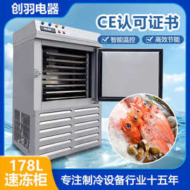 冷冻食品厂 小龙虾速冻柜 鲍鱼冷藏快速急冻机 6盘薯条速冻柜厂家