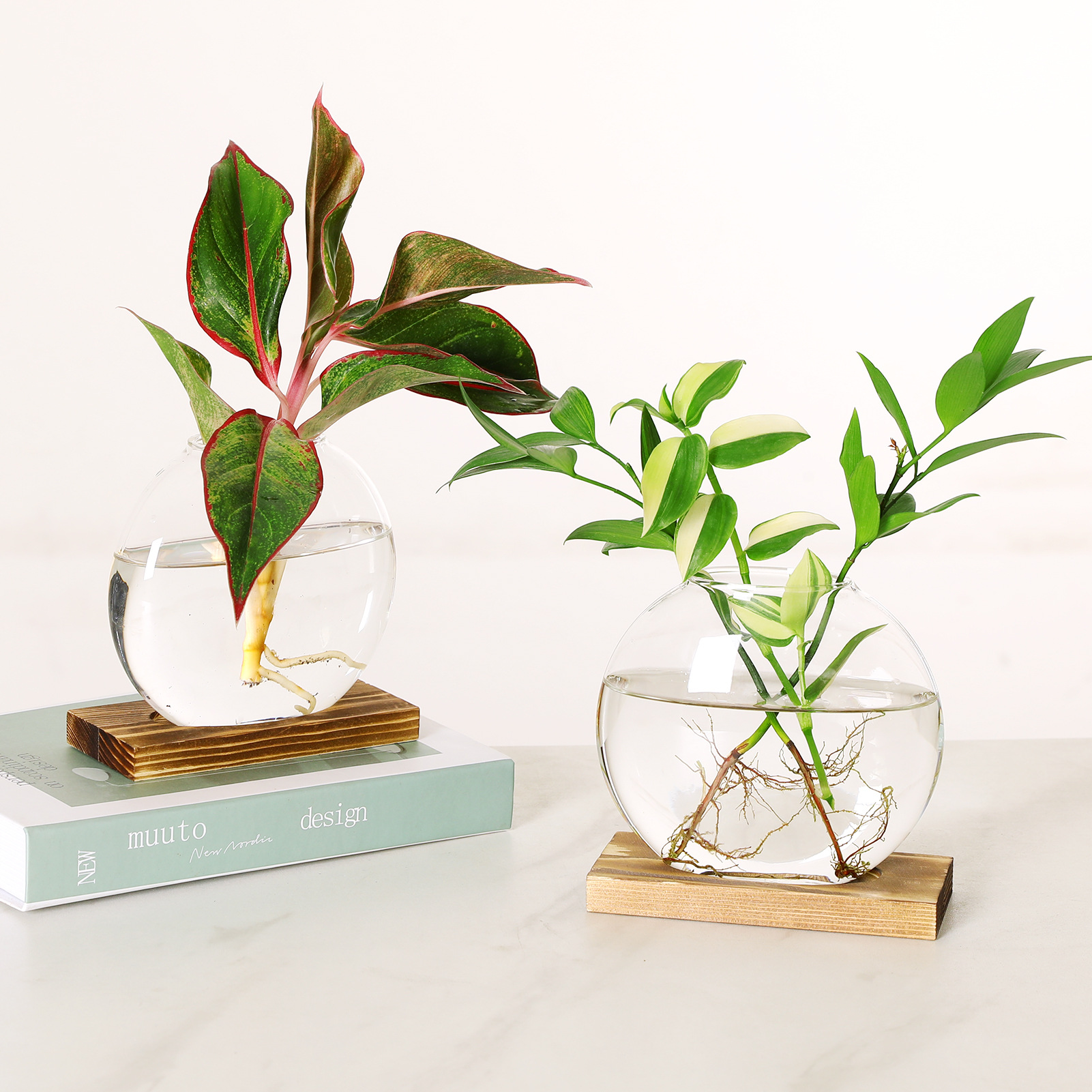 Desktop Glass Hydroponic Plant Vase Dried Flower Decoration Flower Vessel Office Living Room Book Countertop Flower Container Ornaments