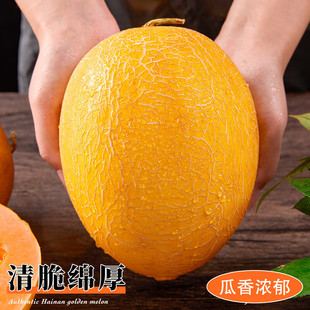 �����S���۹��S�������ϕr������rˮ���������ɯ�׶Y�а��]