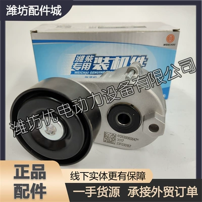 Weichai WD12 diesel Remen gəricisi