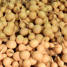 ?��Ȼ����С���J��������f�������ؔ���̖����J��ˇƷ��