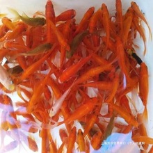 С�͵�ˮ�^�p�~�ͻ���B��ˮ���~�^�p�~���~���~��С�~�t���\��