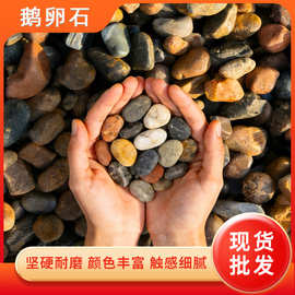 批发鹅卵石2-3cm工程铺路石子河道治理铺底用庭院装饰鹅卵石