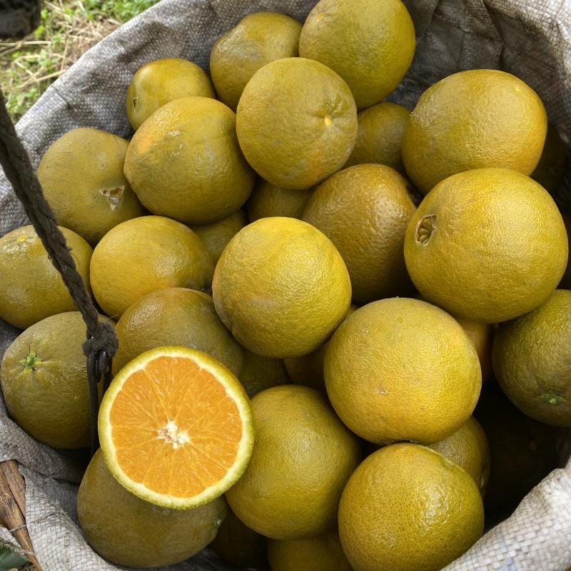 Orange, Brown Orange, Black Beauty Orange, Chocolate Orange, Hubei Sweet and Sour Fresh Fruit, Freshly Picked and Shipped, One Piece Per Order