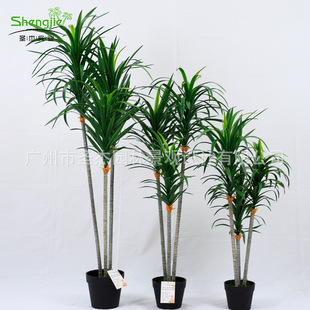 �����F�䱱�W�L�Ƶ��̈�ܛ�b�b�����쾰����Gֲ ���|�ָ��~�F