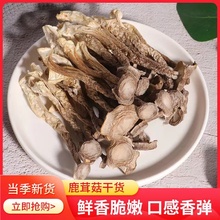 高品质鹿茸菇干货不开伞嫩仔500g一斤煲汤干锅土特产香菇无熏硫