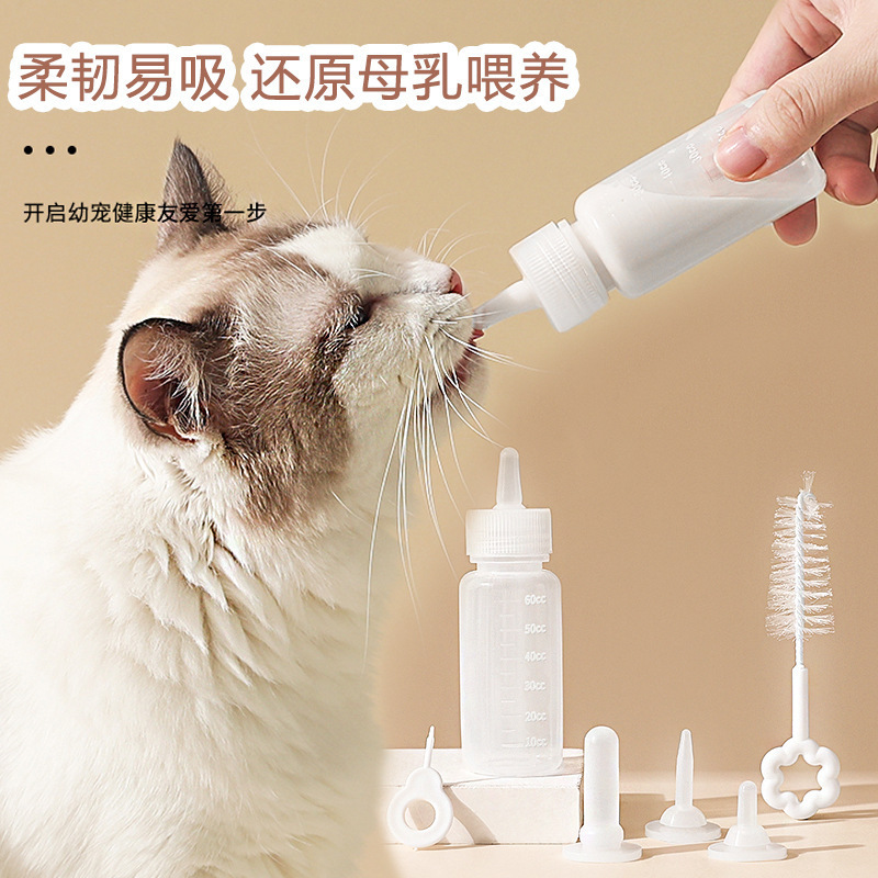 猫、小型犬、新生児、子猫、子犬用のペット用哺乳瓶、1ヶ月用哺乳瓶、動物、ウサギ、獣医|undefined