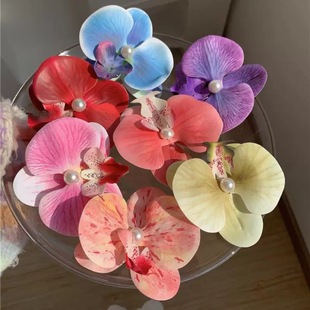 �ϵϲ�ηͬ��Gɫ�����m�l�A��߅�^�����滨���^�߅���ΰl�