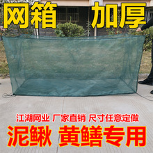 养黄鳝网箱鳝鱼泥鳅养殖网专用40目加厚渔网塑料小型带盖网箱