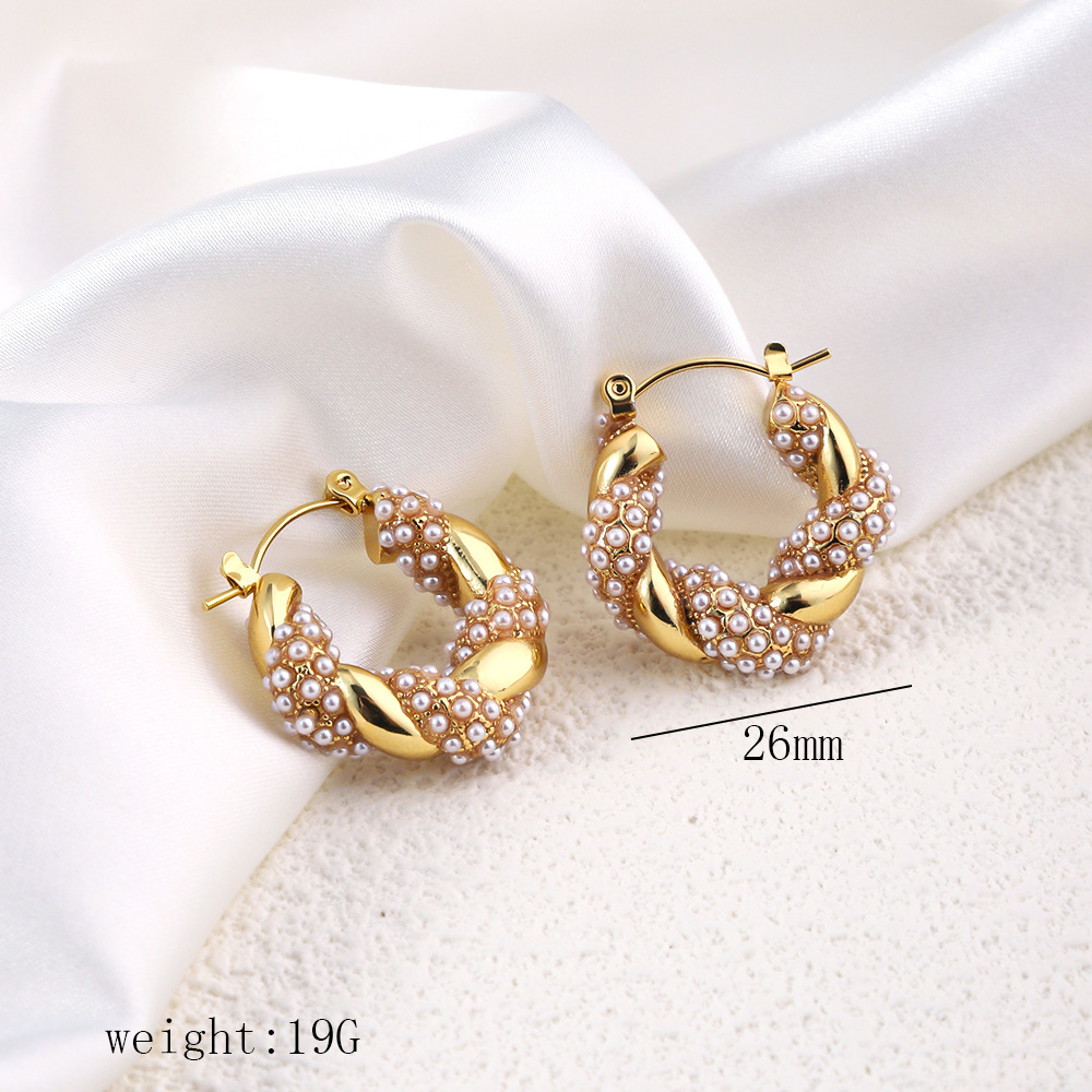 1 Pair Simple Style Commute Geometric Heart Shape Plating Titanium Steel Drop Earrings Earrings Ear Studs display picture 26