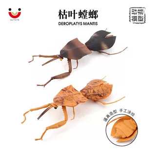 跨境儿童认知仿真玩具昆虫动物模型枯叶螳螂静态场景摆件螳螂模型